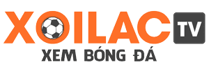 câu lạc bộ bóng đá heidenheim